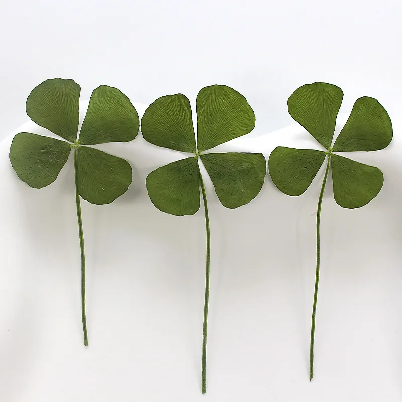 24 Uds. Real naturaleza verde  - Phone Accessories Baby reseña y precio