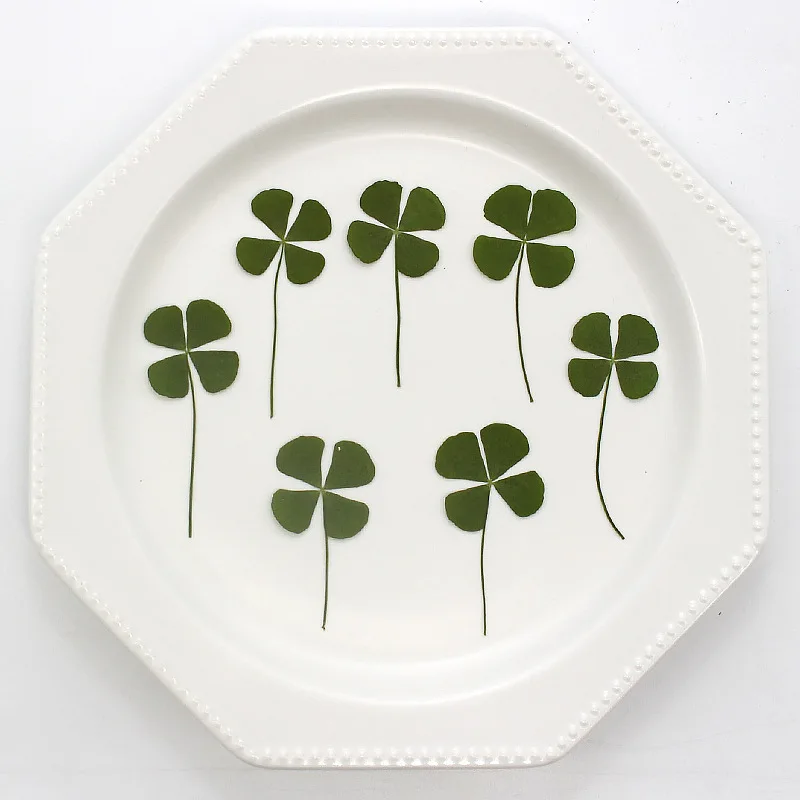 24 Uds. Real naturaleza verde  - Phone Accessories Baby reseña y precio