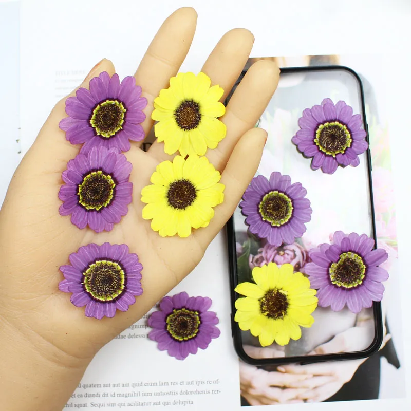 40 Uds. Prensado seco 3-5cm am - Phone Accessories Baby reseña y precio